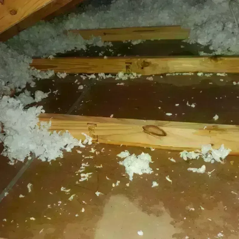 Attic Water Damage in Buffalo, OK