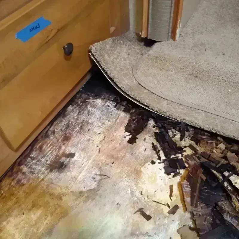 Wood Floor Water Damage in Buffalo, OK